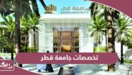 تخصصات جامعة قطر 2024