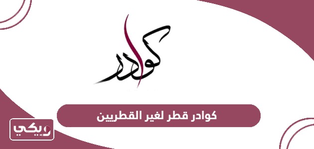 كوادر قطر لغير القطريين برواتب مجزية 2024