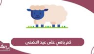 كم باقي على عيد الاضحى في قطر 2024