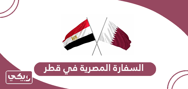 السفارة المصرية في قطر الخدمات الإلكترونية