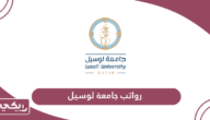 سلم رواتب جامعة لوسيل قطر 2024